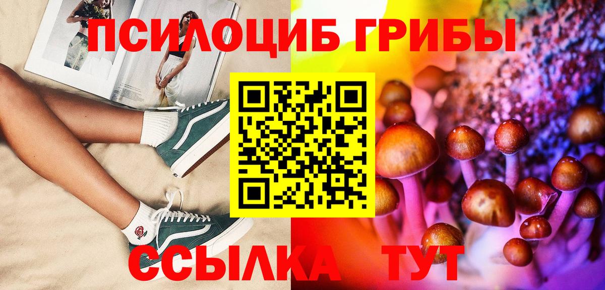 Галлюциногенные грибы GOLDEN TEACHER  Вход с VPN  Кунгур  Галлюциногенные грибы Psilocybe 